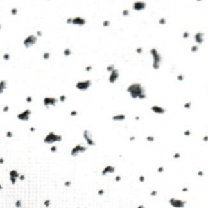 RADAR 61 X 1.22 8 PZA15/16 5.95M2
